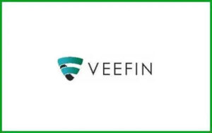 Veefin Solutions IPO