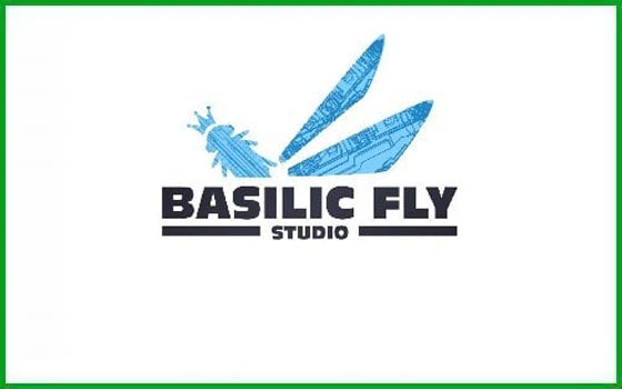 Basilic Fly Studio IPO