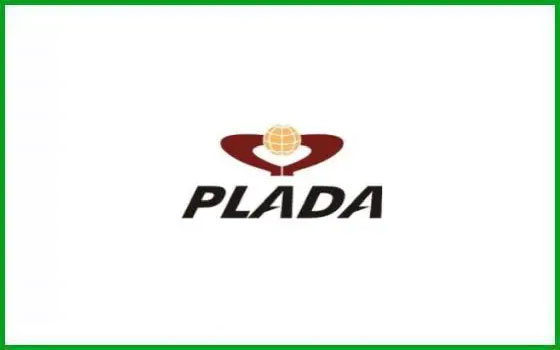 Plada Infotech Services IPO