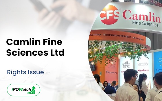 Camlin Fine Sciences Rights Issue 2025