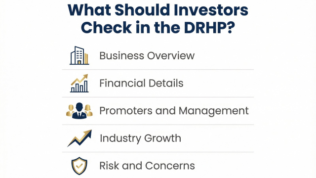 What should investors check in the DRHP